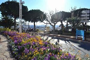032- Saint-Raphael